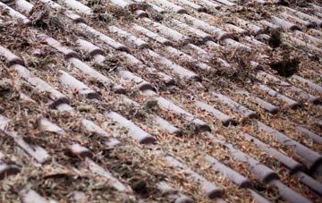 Bagber roof cleaning companies