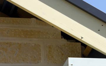 soffit repair Bagber