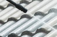 rated Bagber roof cleaning companies