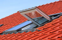Bagber roof window